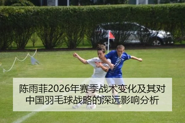 陈雨菲2026年赛季战术变化及其对中国羽毛球战略的深远影响分析