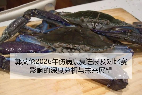 郭艾伦2026年伤病康复进展及对比赛影响的深度分析与未来展望